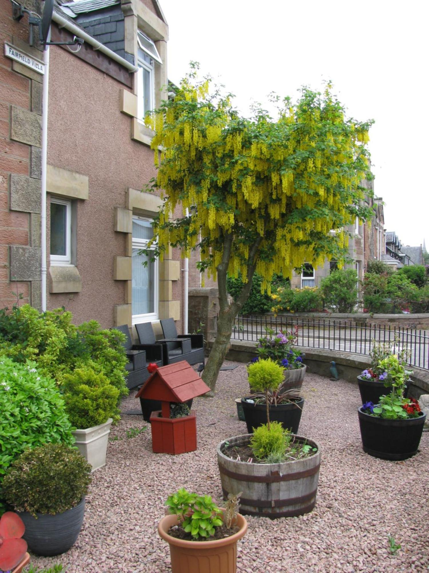 Fairfield Townhouse Guest House Инвернесс Экстерьер фото